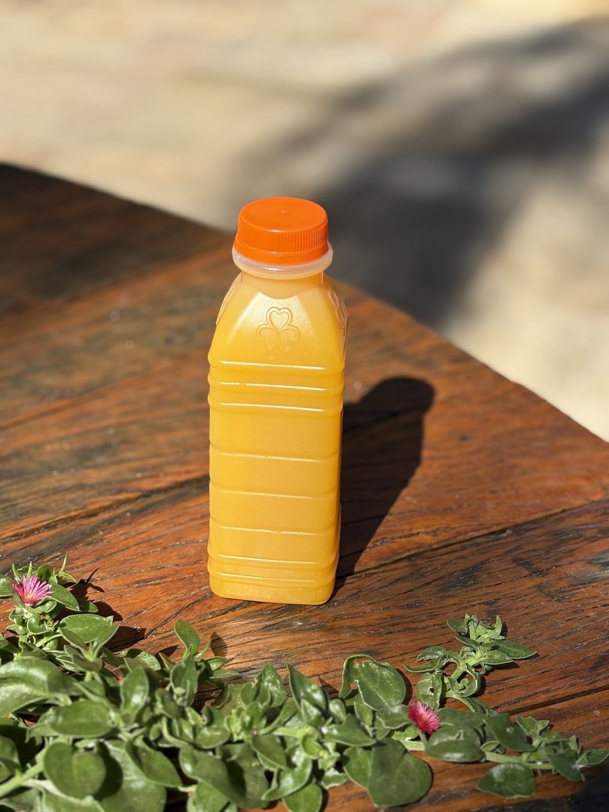 Suco de Laranja Natural