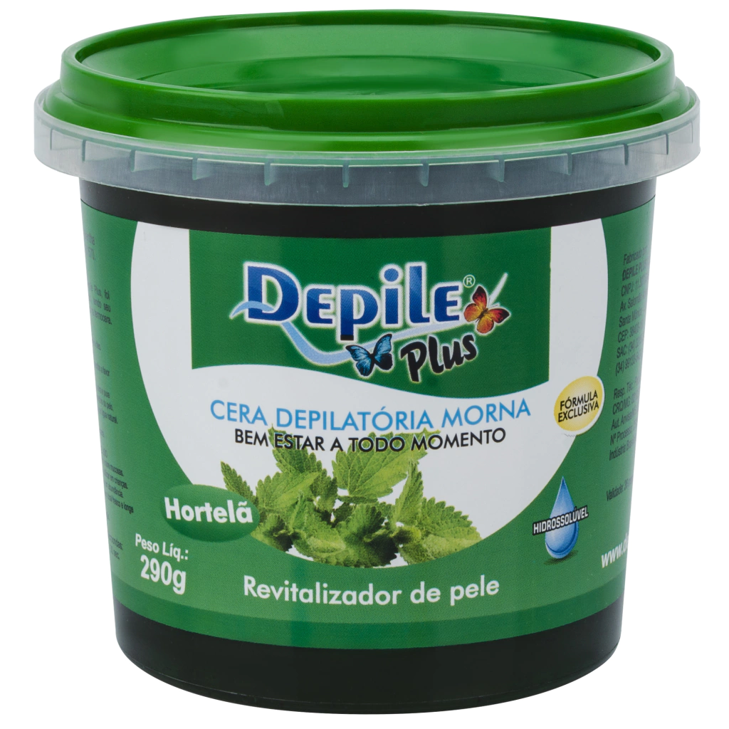 CERA DEPIL DEPILE HORTELÂ 290G