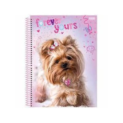 CAD CONFETTI 12 MAT 192F HEROIS